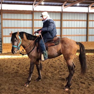 RIDING LESSONS